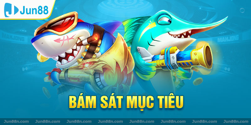 Bám sát mục tiêu