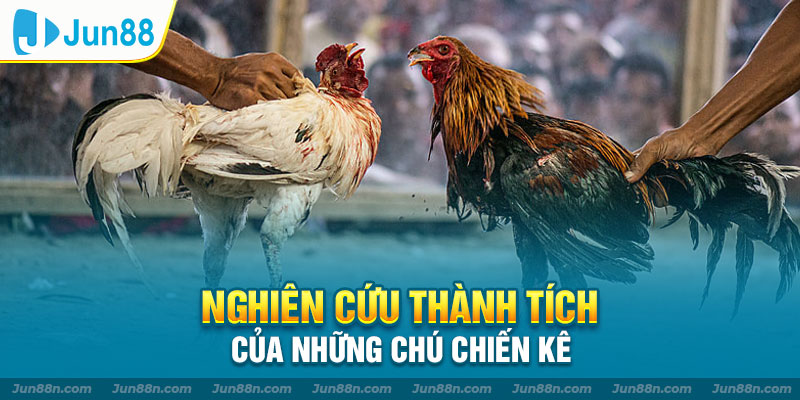 Nghiên cứu thành tích của những chú chiến kê